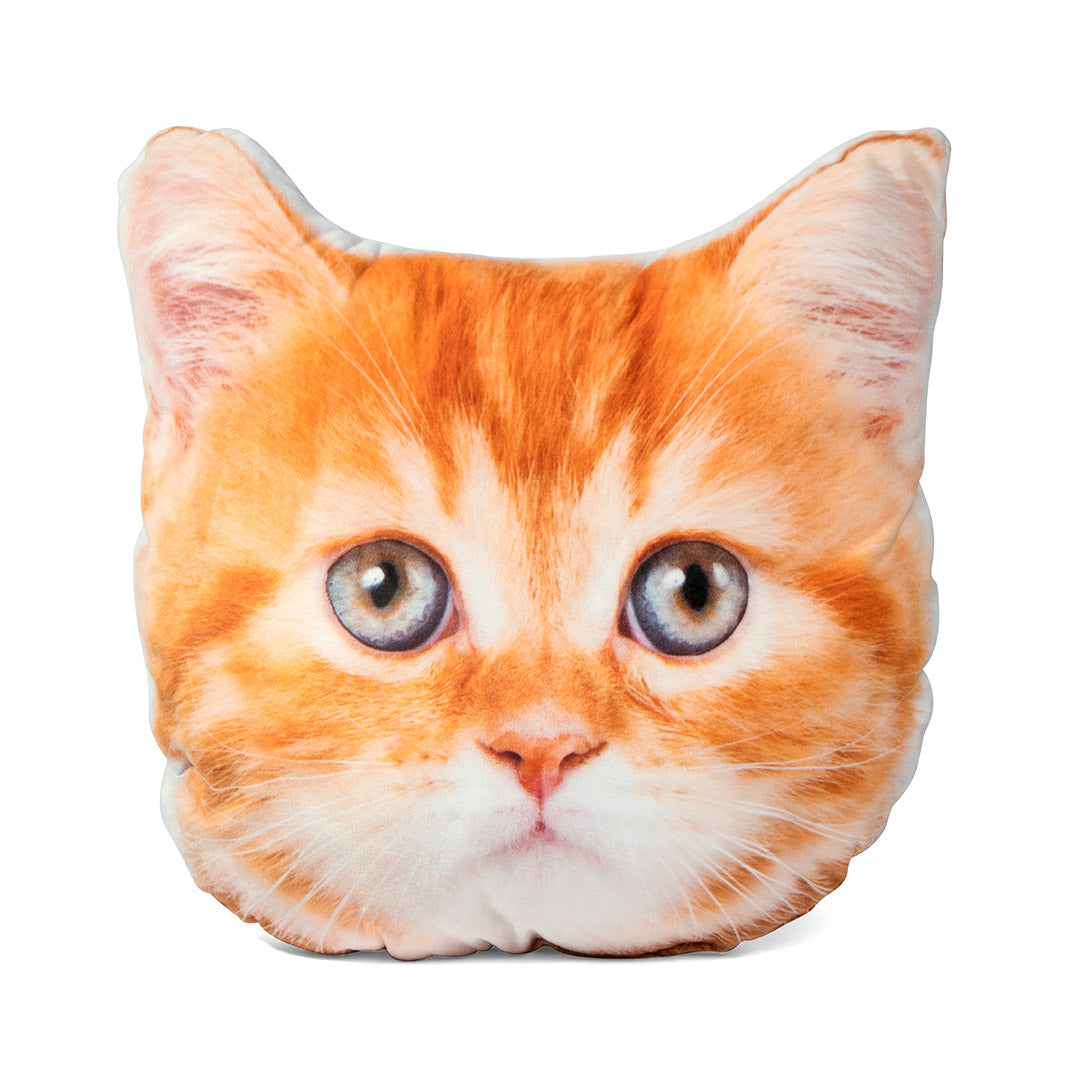 Cat 2024 face pillow