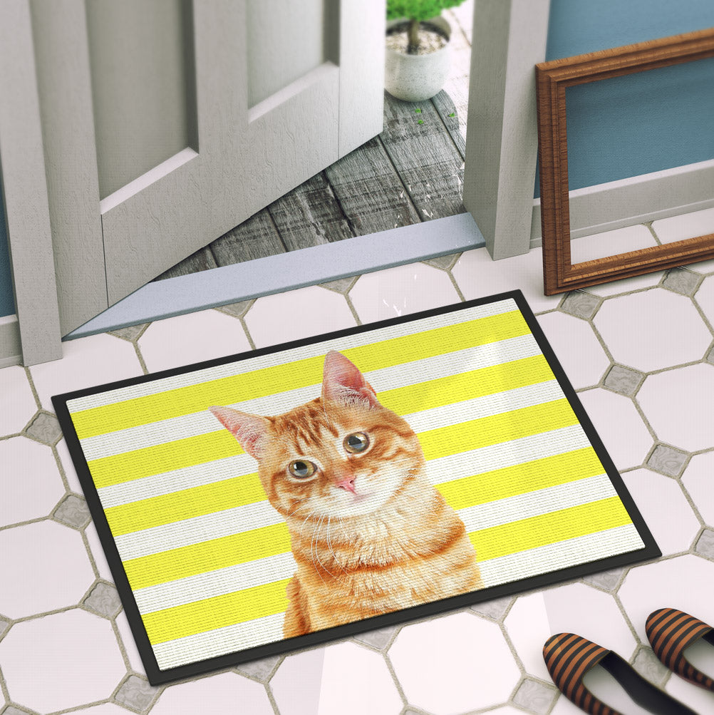 Cat deals flap mat