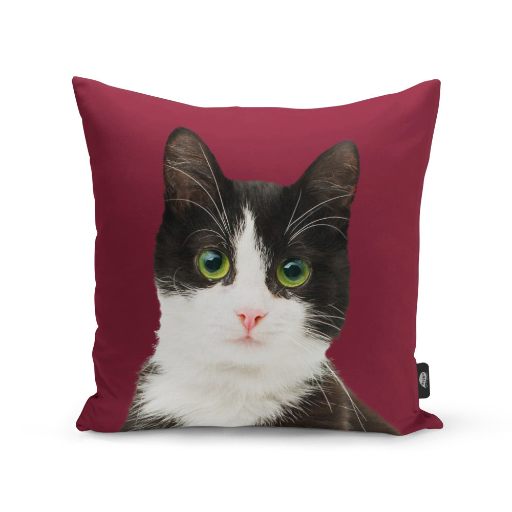 Cat photo cushion sale