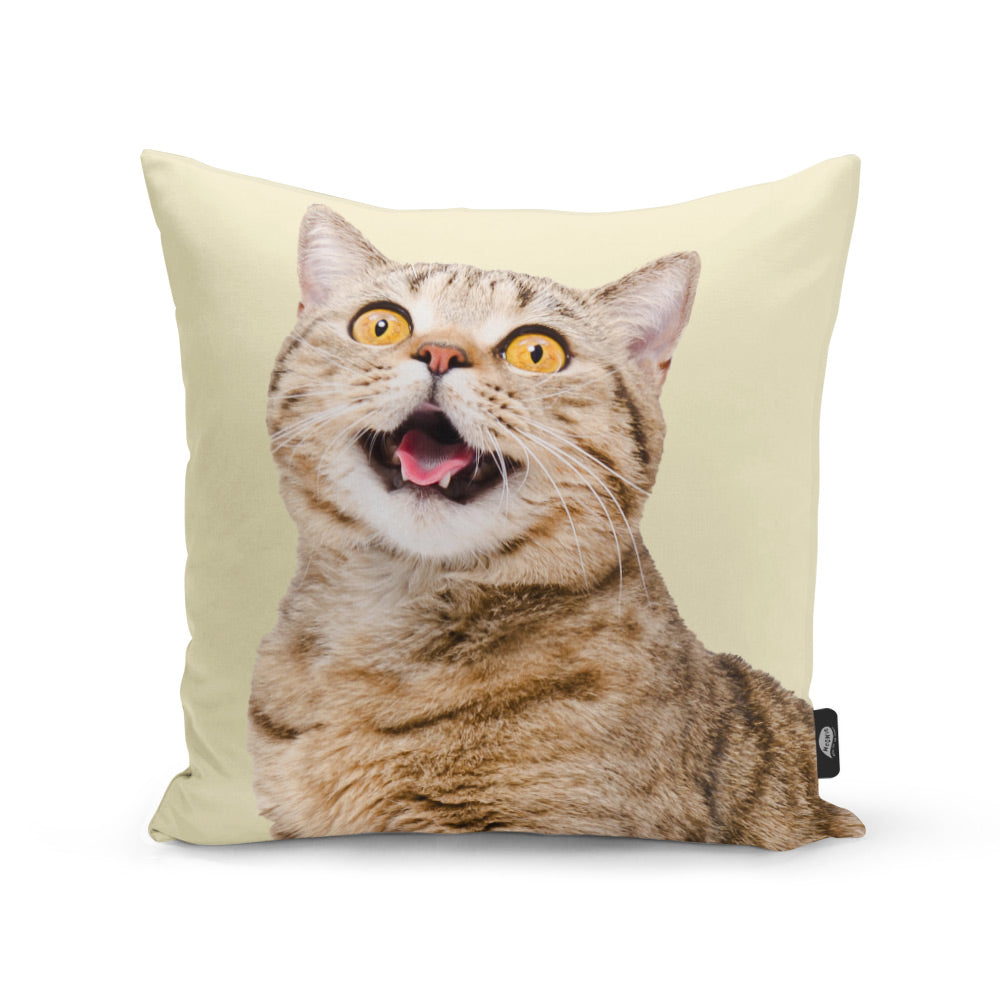 Cat Photo Cushion Customised Your Cat Cushion