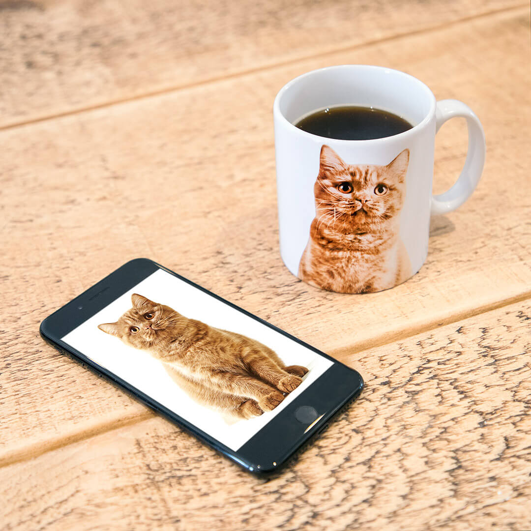 Personalised Cat Gifts Unique Gifts for Cat Lovers